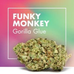 CANNACTIVA Funky Monkey 2gr