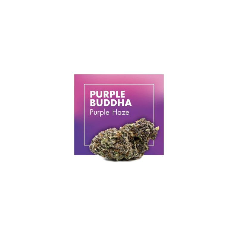 CANNACTIVA Purple Buddha Purple Haze 2gr