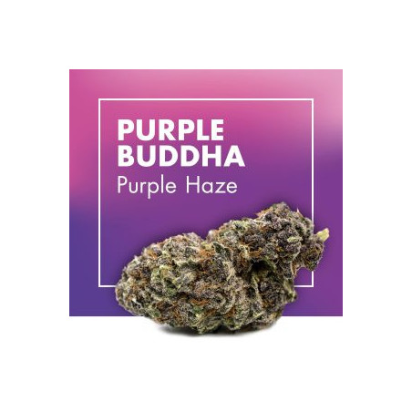 CANNACTIVA Purple Buddha Purple Haze 2gr