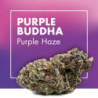 CANNACTIVA Purple Buddha Purple Haze 2gr