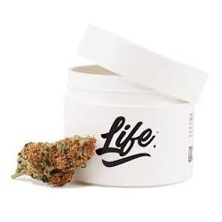LIFE StrawBerry Cake