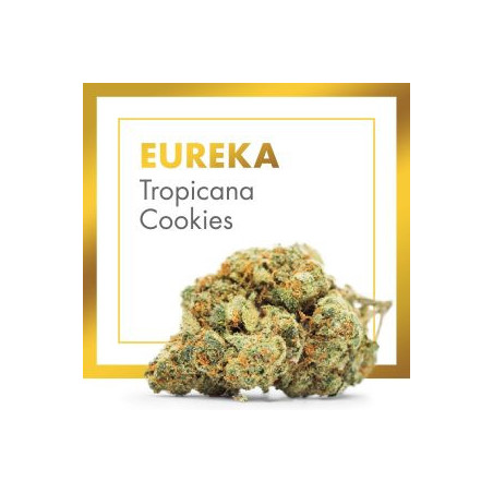 CANNACTIVA EC Eureka Tropicana Cookies 2gr