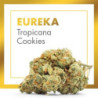 CANNACTIVA EC Eureka Tropicana Cookies 2gr