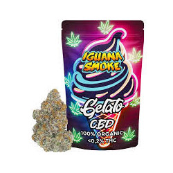 IguanaSmoke Gelato 5g