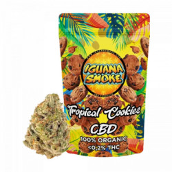 IguanaSmoke Tropical Cookies 5g