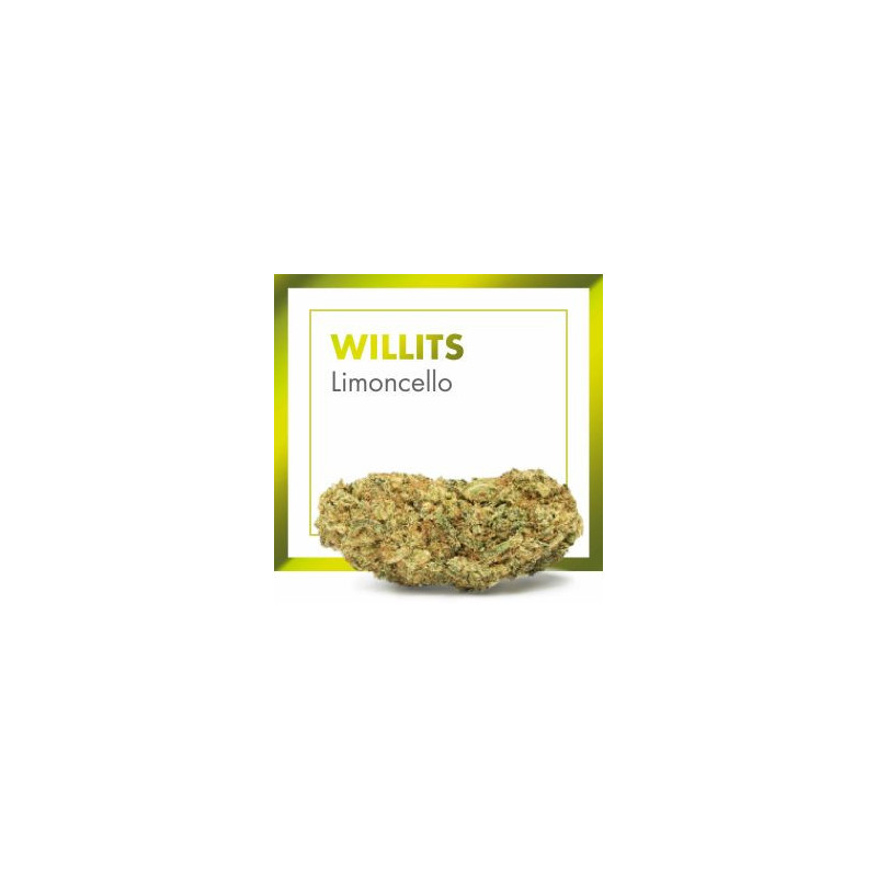 CANNACTIVA EC Willis Limoncello 2gr