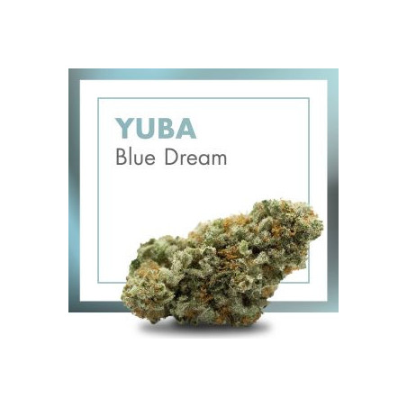 CANNACTIVA EC Yuba XXX 2gr