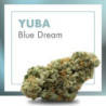 CANNACTIVA EC Yuba XXX 2gr