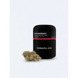 CANAPA CO. Strawberry