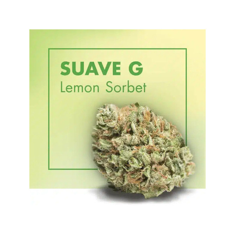 CANNACTIVA EC Suave Lemon Soda 2gr
