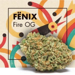 CANNACTIVA Fenix Fire OG 3gr