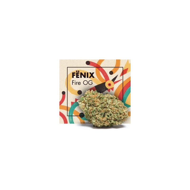 CANNACTIVA Fenix Fire OG 3gr