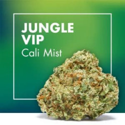 CANNACTIVA Jungle Vip Cali Mist 2gr