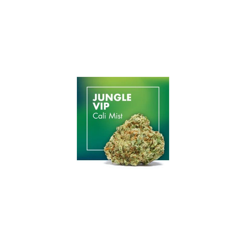 CANNACTIVA Jungle Vip Cali Mist 2gr