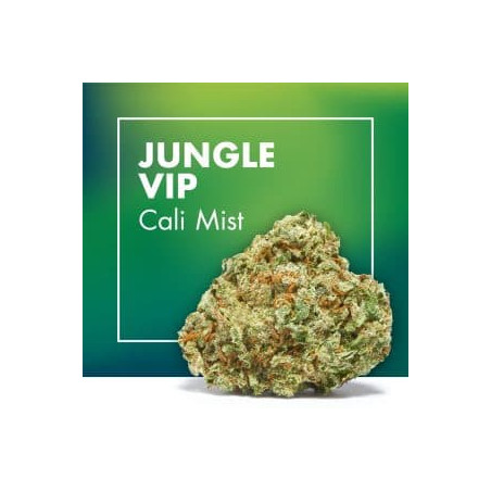 CANNACTIVA Jungle Vip Cali Mist 2gr