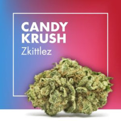 CANNACTIVA Candy Krush 2gr