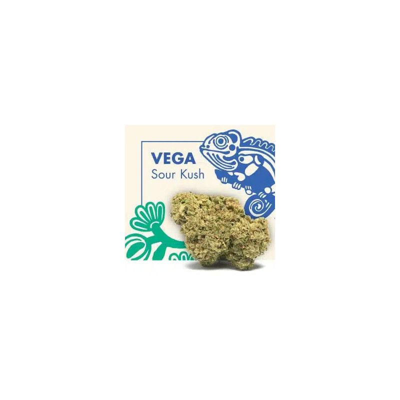 CANNACTIVA Vega Sour Kush 2gr