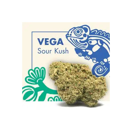 CANNACTIVA Vega Sour Kush 2gr