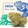CANNACTIVA Vega Sour Kush 2gr