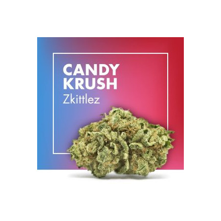 CANNACTIVA Candy Krush 5gr