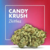 CANNACTIVA Candy Krush 5gr