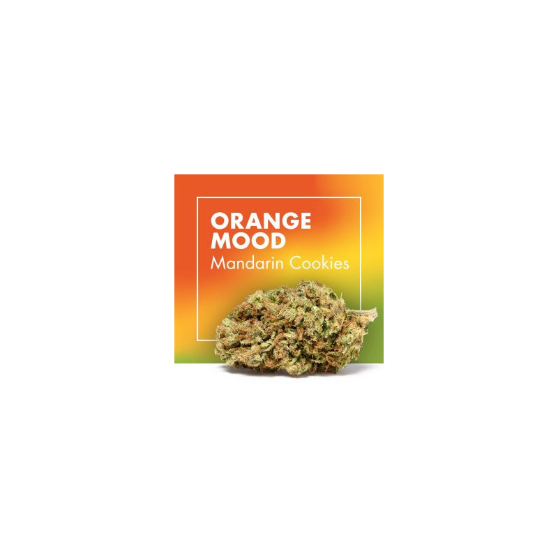 CANNACTIVA Orange Mood 5gr