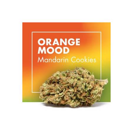 CANNACTIVA Orange Mood 5gr