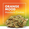 CANNACTIVA Orange Mood 5gr