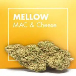 CANNACTIVA Mellow Mac Cheese 5gr