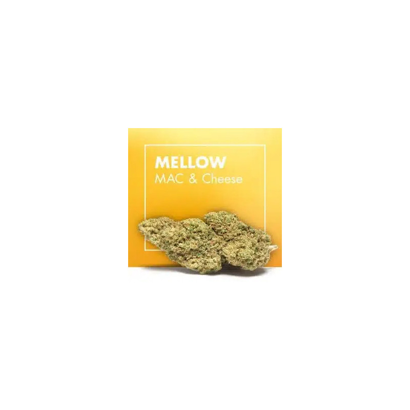 CANNACTIVA Mellow Mac Cheese 5gr