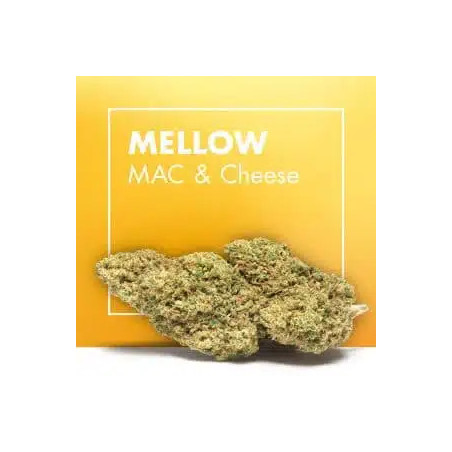 CANNACTIVA Mellow Mac Cheese 5gr