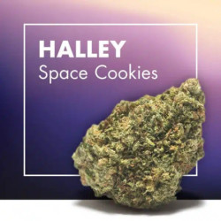 CANNACTIVA Halley Space Cookies 5gr