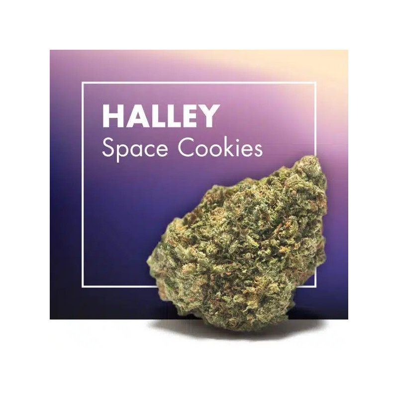 CANNACTIVA Halley Space Cookies 5gr