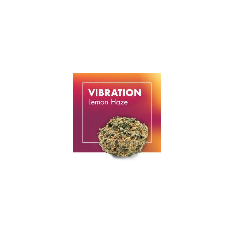 CANNACTIVA Vibration Lemon Haze 5gr