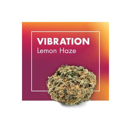 CANNACTIVA Vibration Lemon Haze 5gr