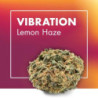 CANNACTIVA Vibration Lemon Haze 5gr