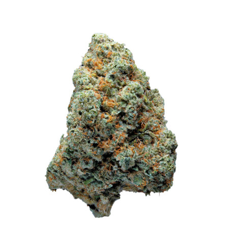 WeNeed Amnesia Hy-Pro3,5gr