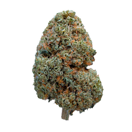 WeNeeD Frosty Star 3,5gr
