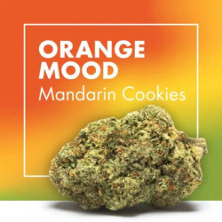 CANNACTIVA Orange Mood Mandarin Cookies 2gr