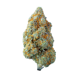 WeNeeD Lemon Kush Pop 3,5gr