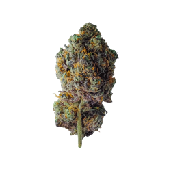 WeNeeD Purple Haze 3,5gr