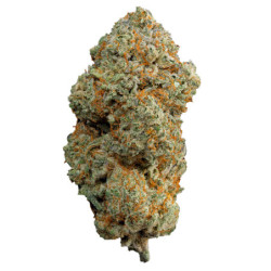 WeNeeD Squeezy 3,5gr