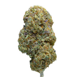WeNeeD Uranium 3,5gr