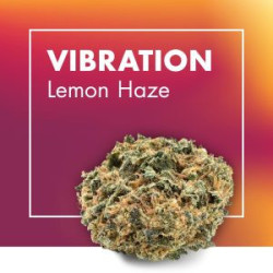 CANNACTIVA Vibration (Lemon Haze) 2gr
