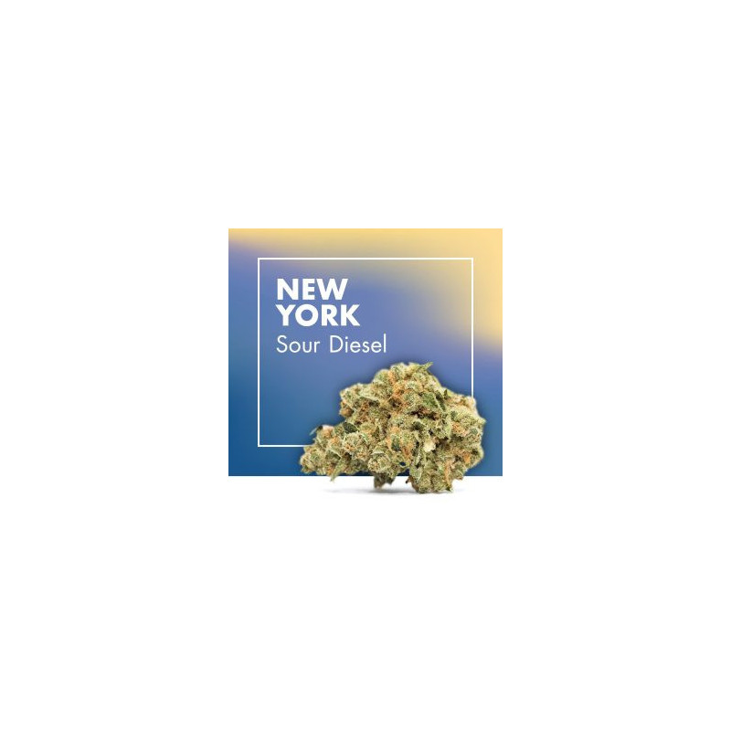CANNACTIVA NewYork Sour Diesel 2gr