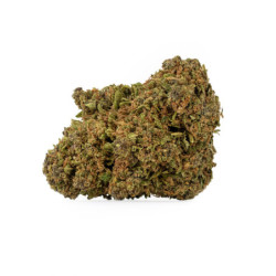 SENSITIVE SourTangie 2g