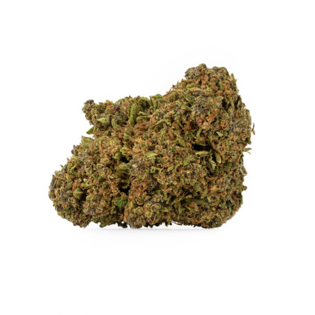 SENSITIVE SourTangie 2g