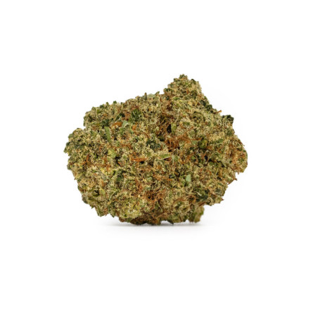 SENSITIVE Gorilla Glue 2g