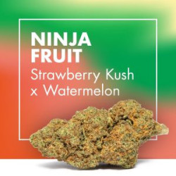 CANNACTIVA NinjaFruit  Strawberry x Watermelon 2gr