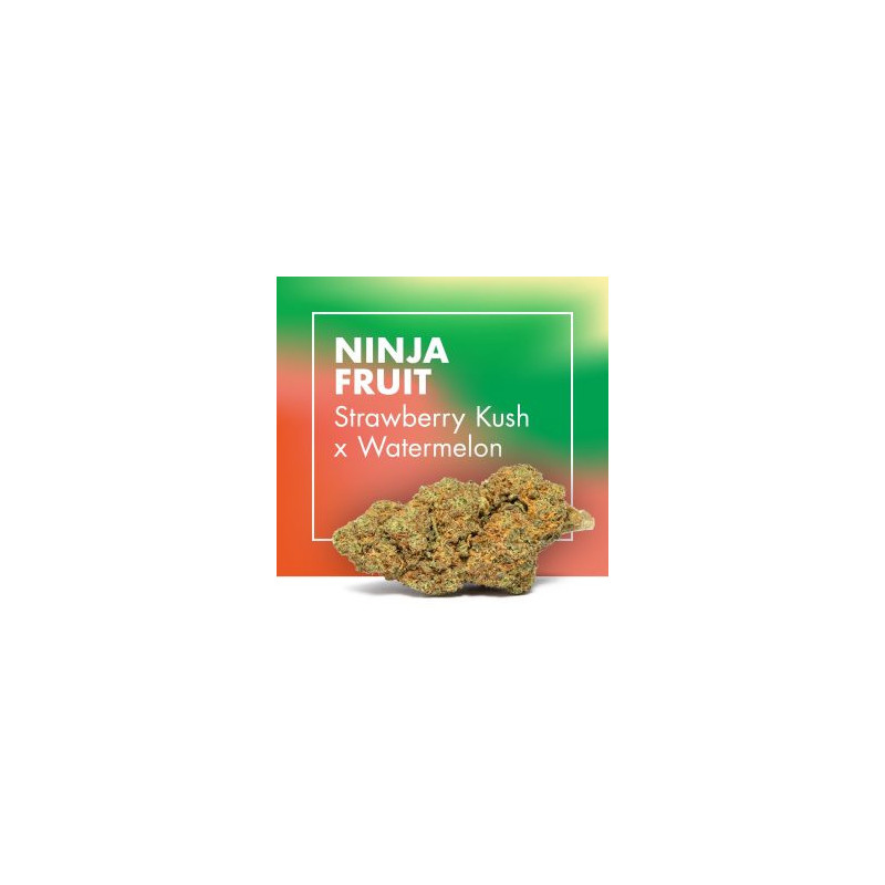 CANNACTIVA NinjaFruit  Strawberry x Watermelon 2gr